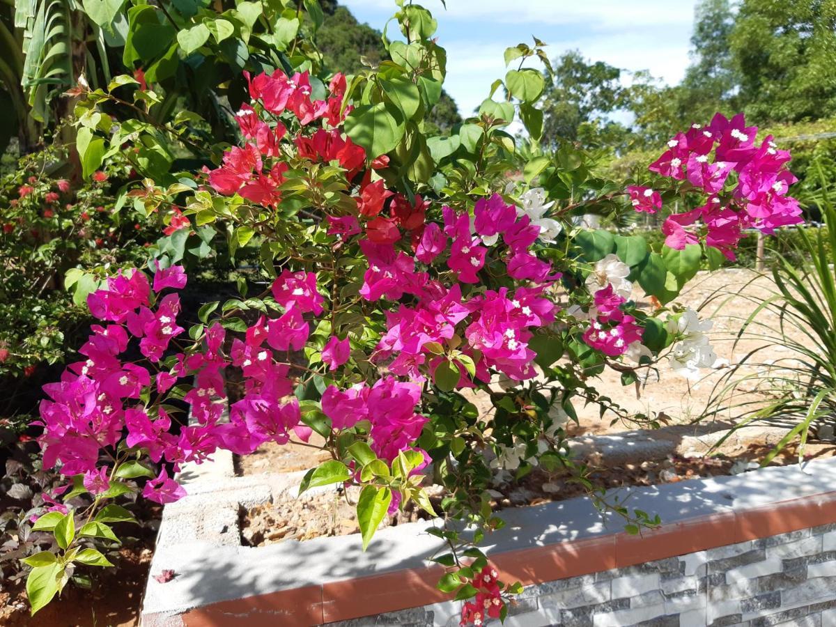Phong Nha Bolero Bungalow Exterior photo